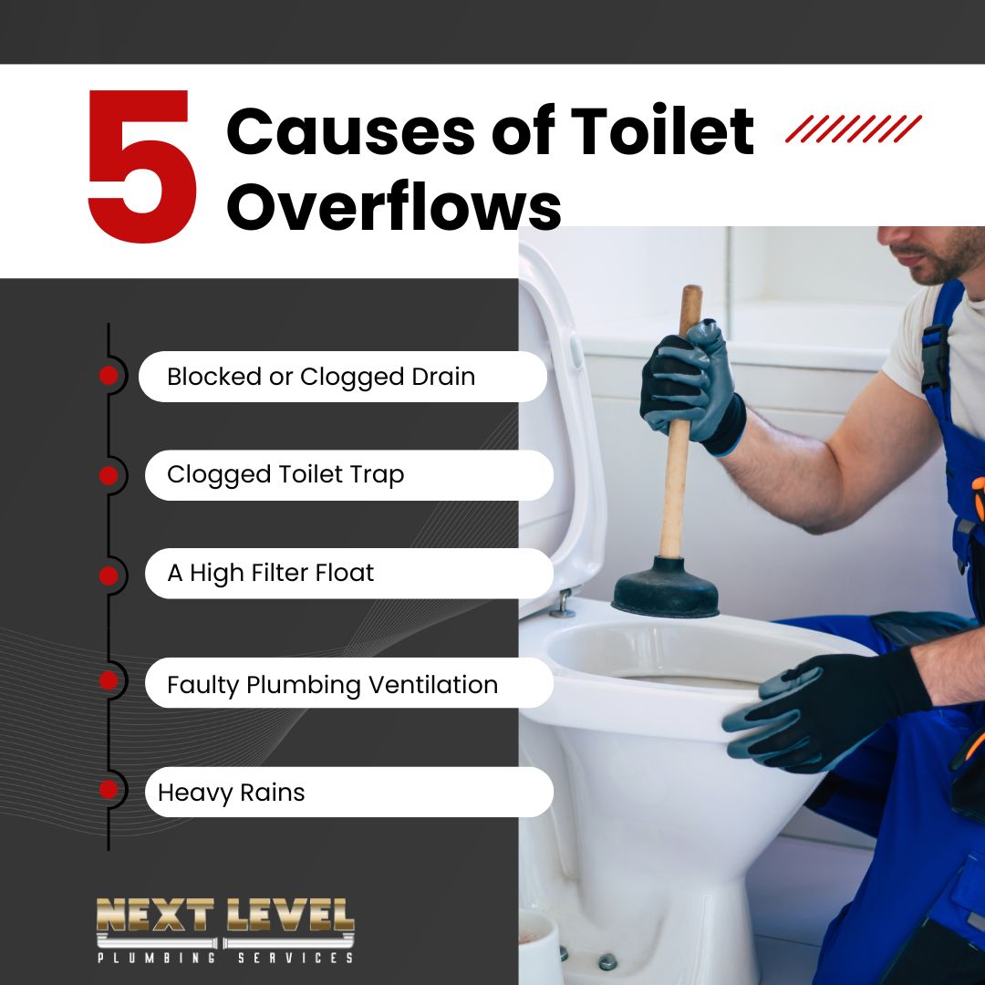 Causes of Toilet Overflows