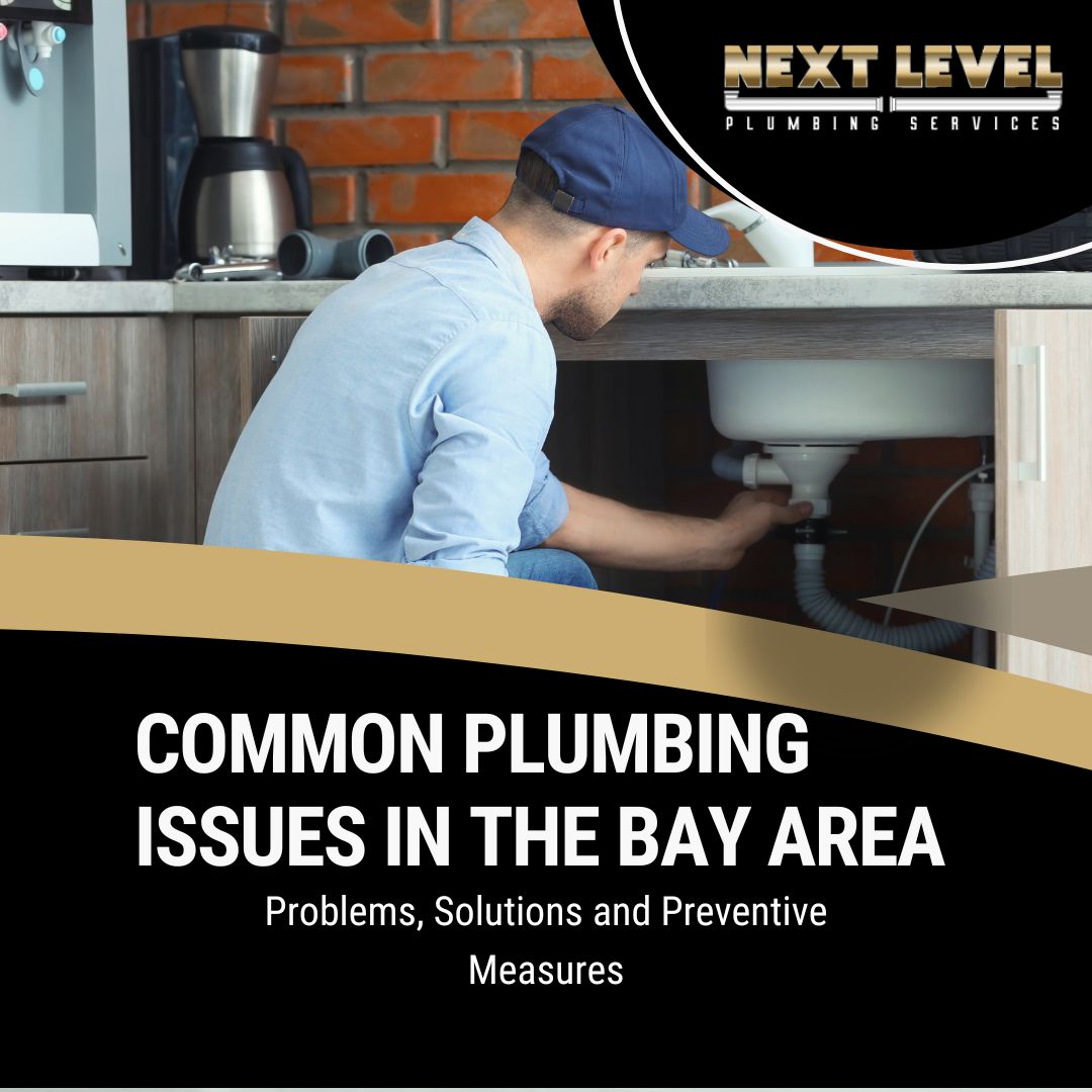 Common Plumbing Issues in the Bay Area