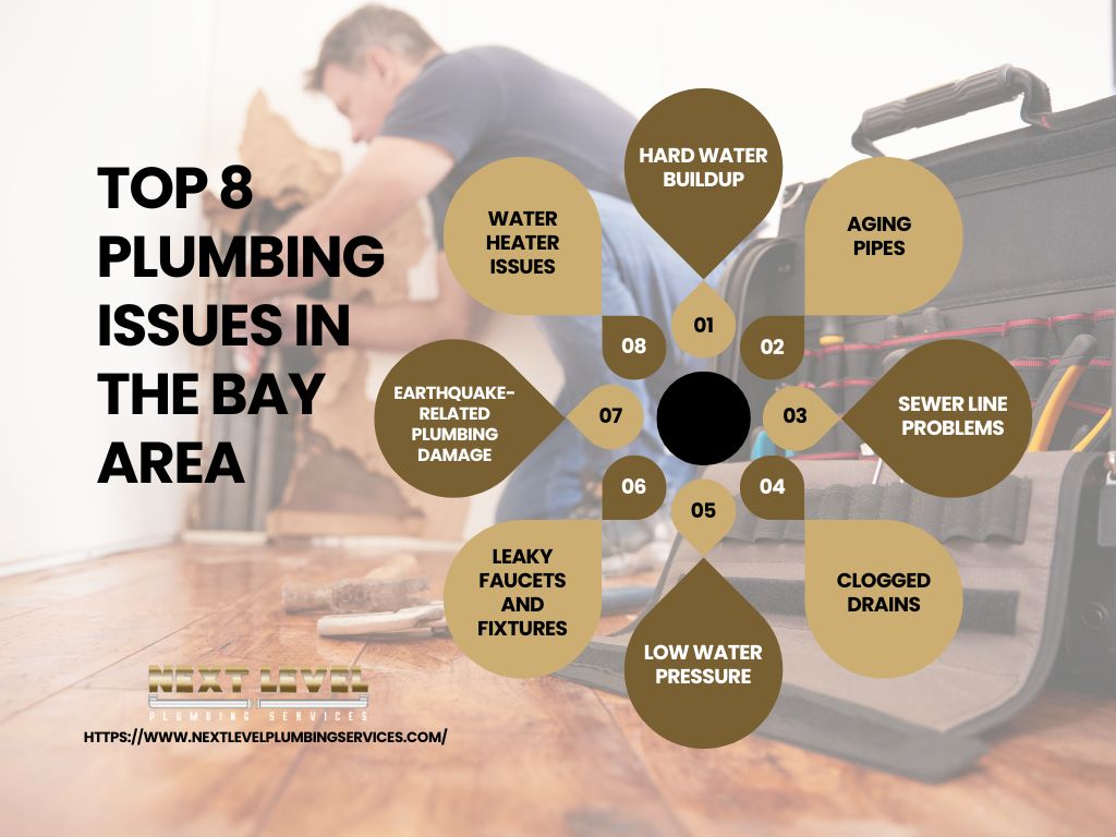 Top 8 Plumbing Issues in the Bay Area